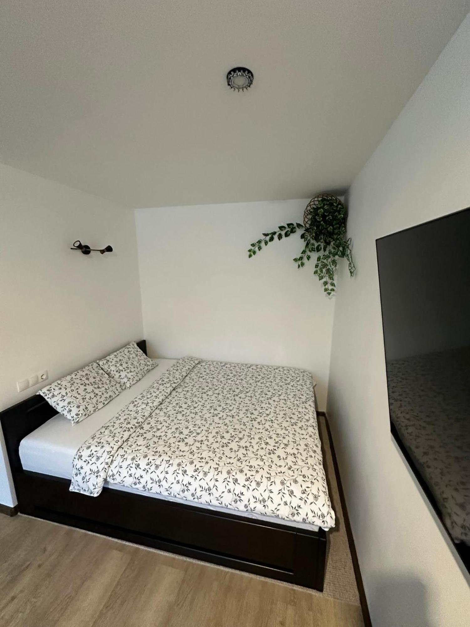 Studio Apartment Valmiera Ngoại thất bức ảnh
